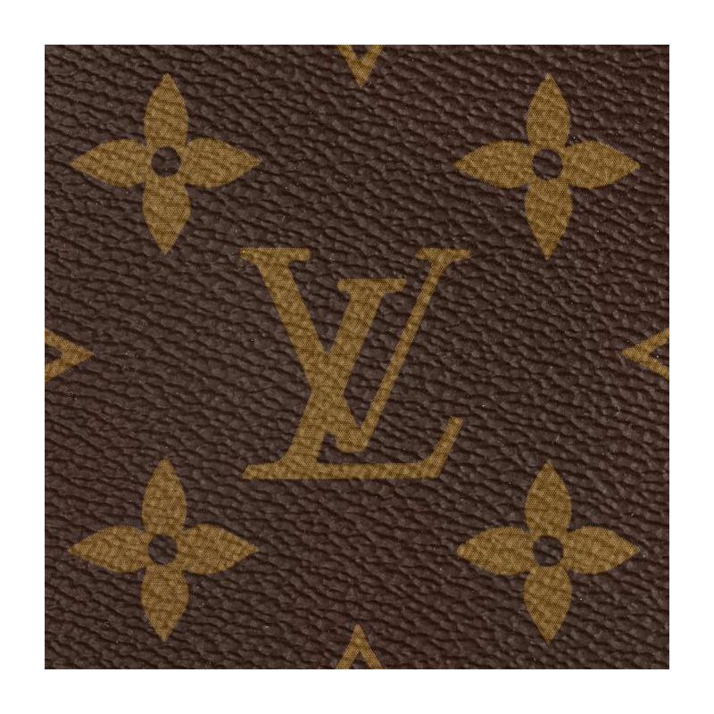 LOUIS VUITTON NeoNoe Monogram M44022-6