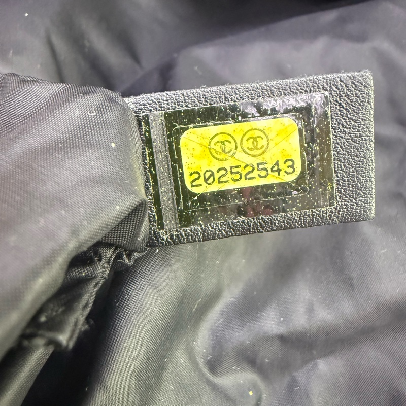 Chanel Coco cocoo handbag-6