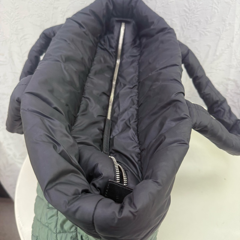 Chanel Coco cocoo handbag-9