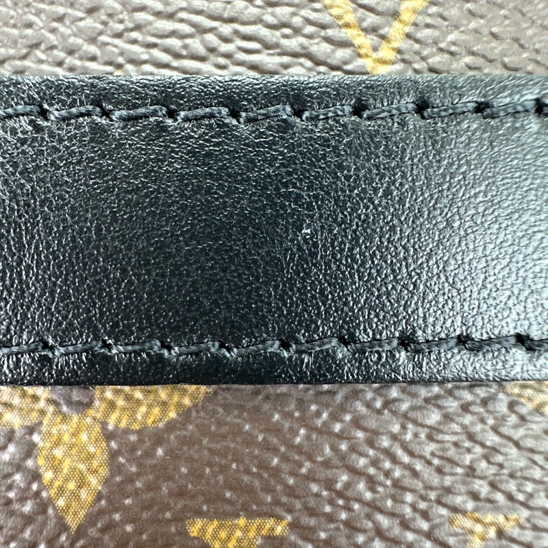 LV Handle Soft Trunk 老花軟盒子 晶片款-6
