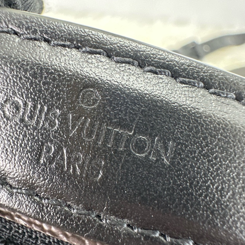 LV Handle Soft Trunk 老花軟盒子 晶片款-8