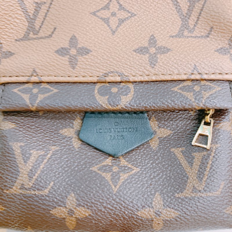 MS0428 Louis Vuitton 路易威登 小背包 雙拼色 經典老花紋 金扣  Palm Spring Backpack Mini Reverse Monogram x GHW-9