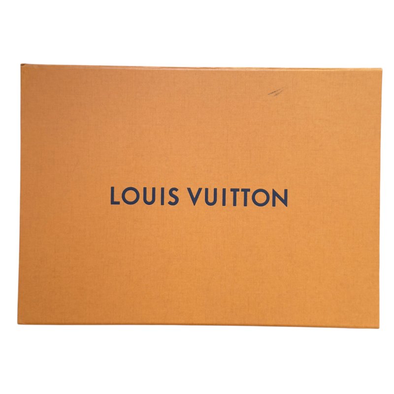 LOUIS VUITTON Logomania 老花 圍巾-6