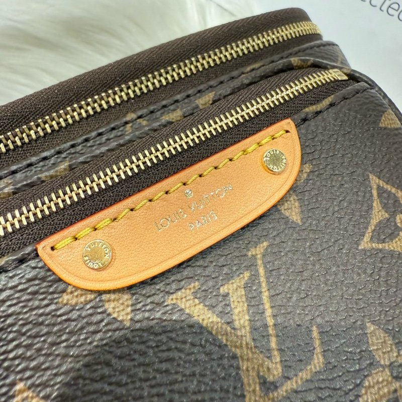 LV Mini Bumbag-5