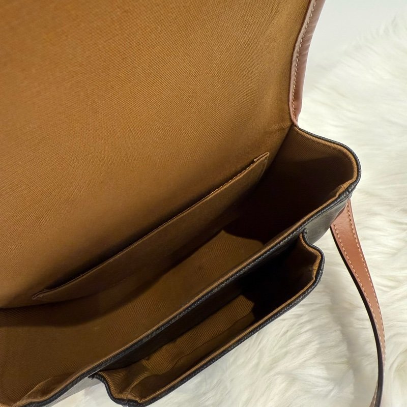 Celine 經典Triomphe 中型馬鞍包-6