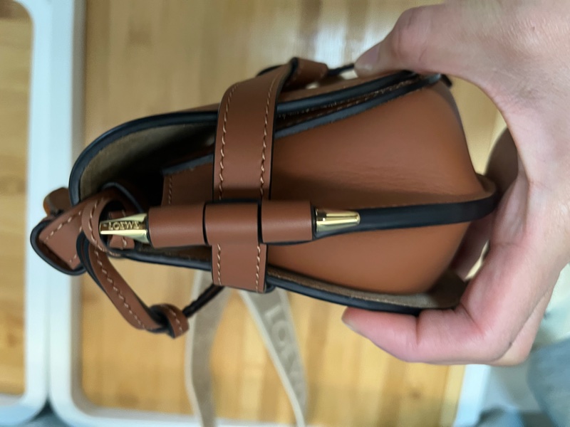 Loewe Mini Gate Dual Bag-14