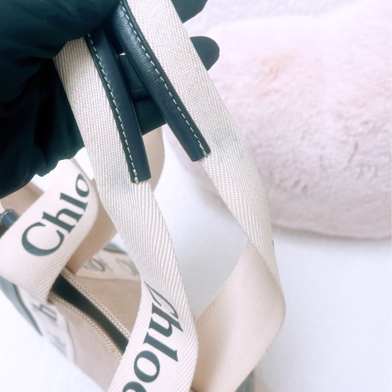 Chloe woody 中號帆布肩背包-11