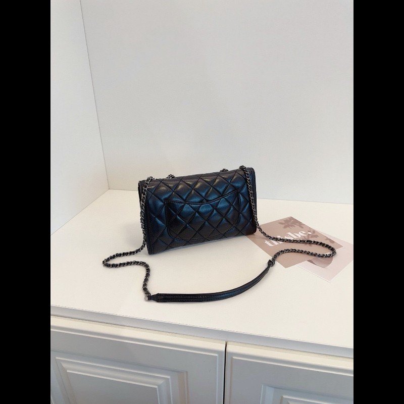 Chanel classic flap seasonal-6