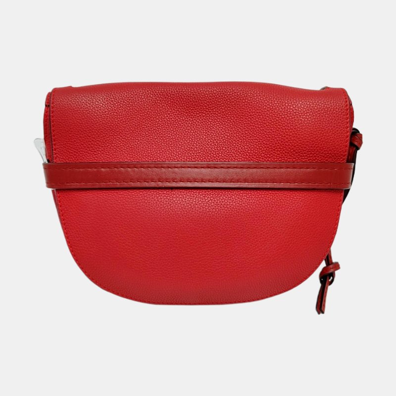 LOEWE Gate小號紅色牛皮單肩包斜挎包金色五金可拆卸肩帶-4