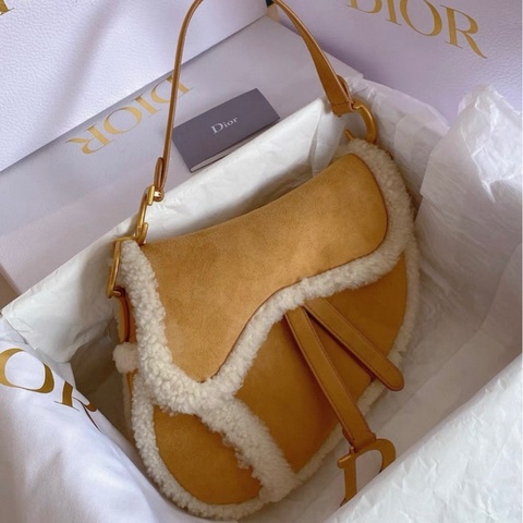 迪奧 Dior 限量泰迪馬鞍包中號，專櫃近40000購入， 99新， 卡袋齊全