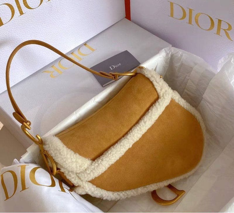 迪奧 Dior 限量泰迪馬鞍包中號,專櫃近40000購入, 99新, 卡袋齊全-1