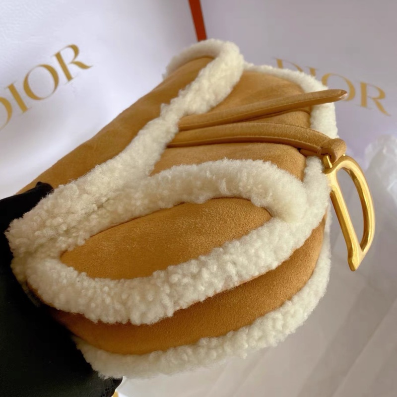 迪奧 Dior 限量泰迪馬鞍包中號,專櫃近40000購入, 99新, 卡袋齊全-6