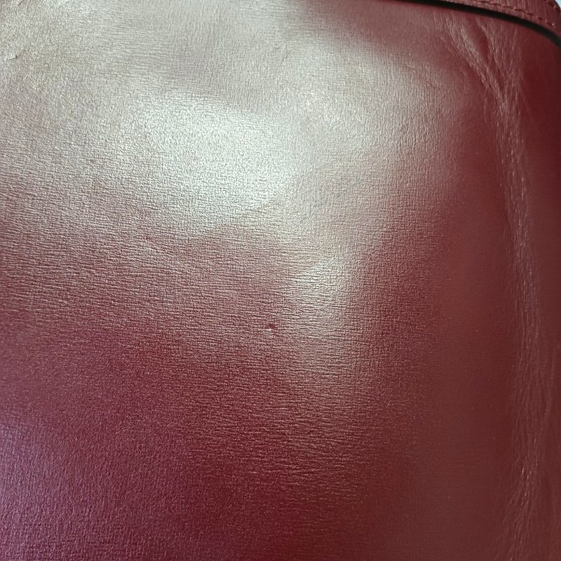 LOUIS VUITTON DAUPHINE中號紅色牛皮達芙妮單肩包斜挎包金色五金2條可拆卸肩帶-13