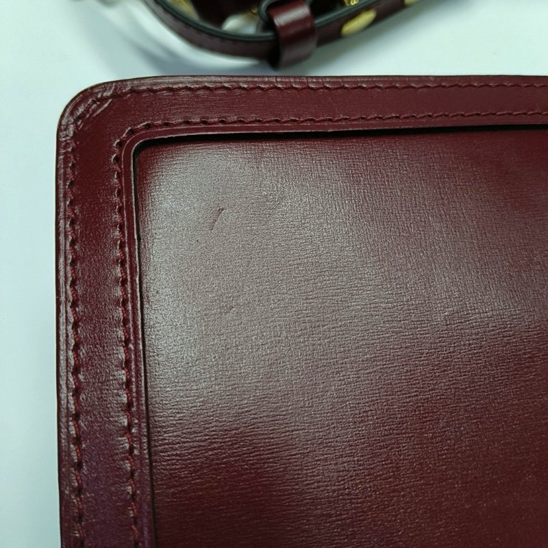 LOUIS VUITTON DAUPHINE中號紅色牛皮達芙妮單肩包斜挎包金色五金2條可拆卸肩帶-14