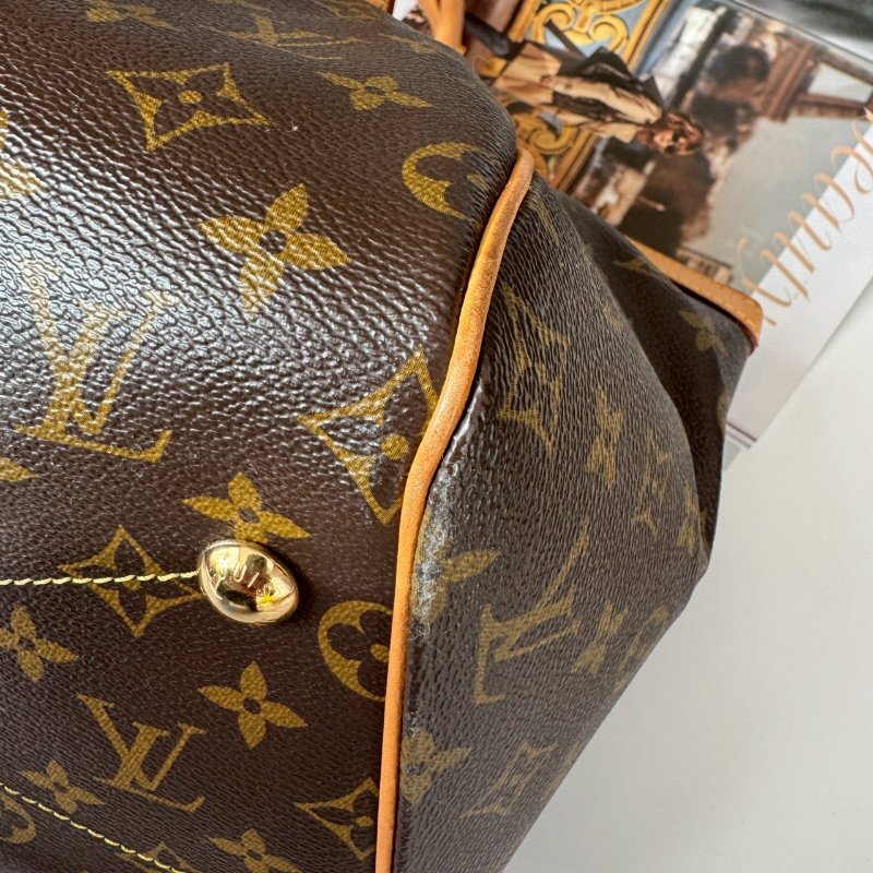 LV 經典老花大水餃 可調整手提包-3