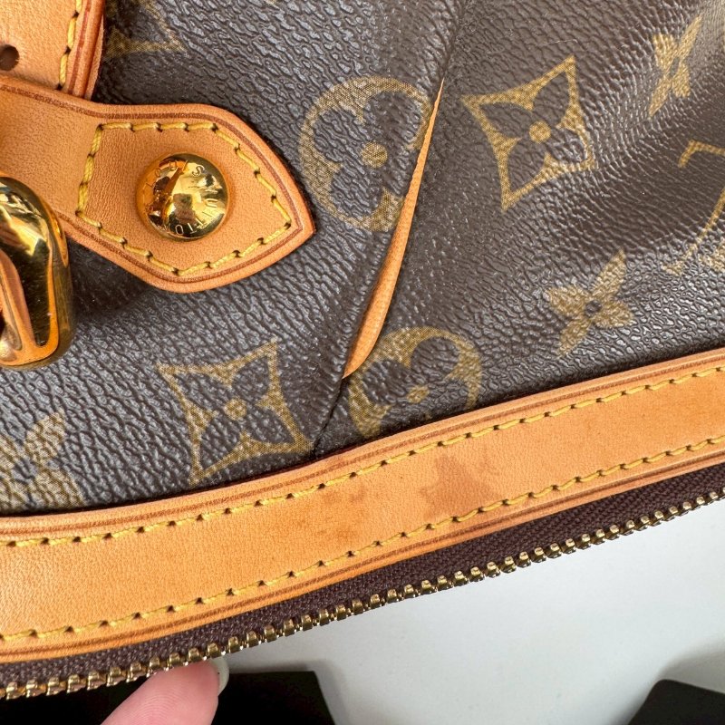 LV 經典老花大水餃 可調整手提包-9