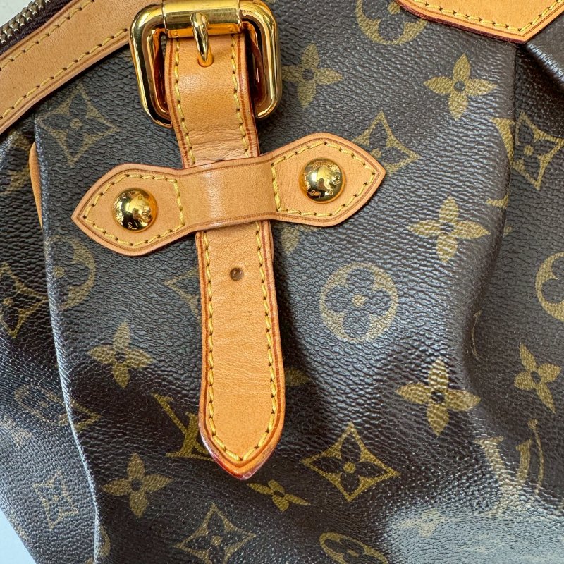 LV 經典老花大水餃 可調整手提包-19