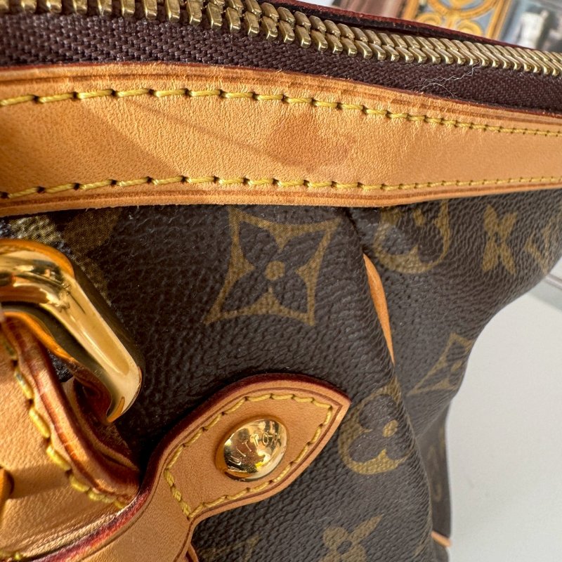 LV 經典老花大水餃 可調整手提包-20