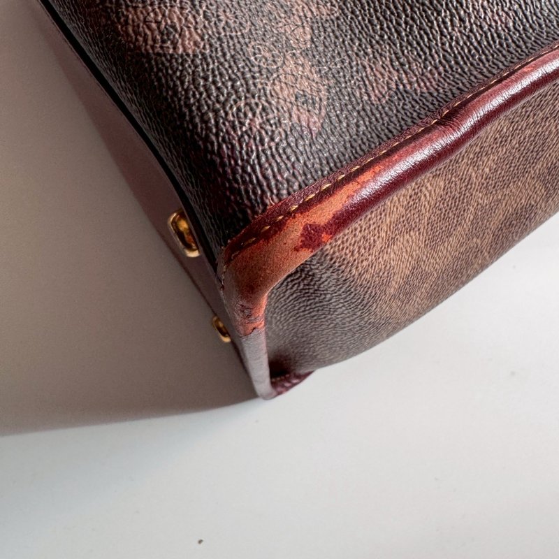 COACH 咖啡色金蘋果自由女神手提兩用包-5