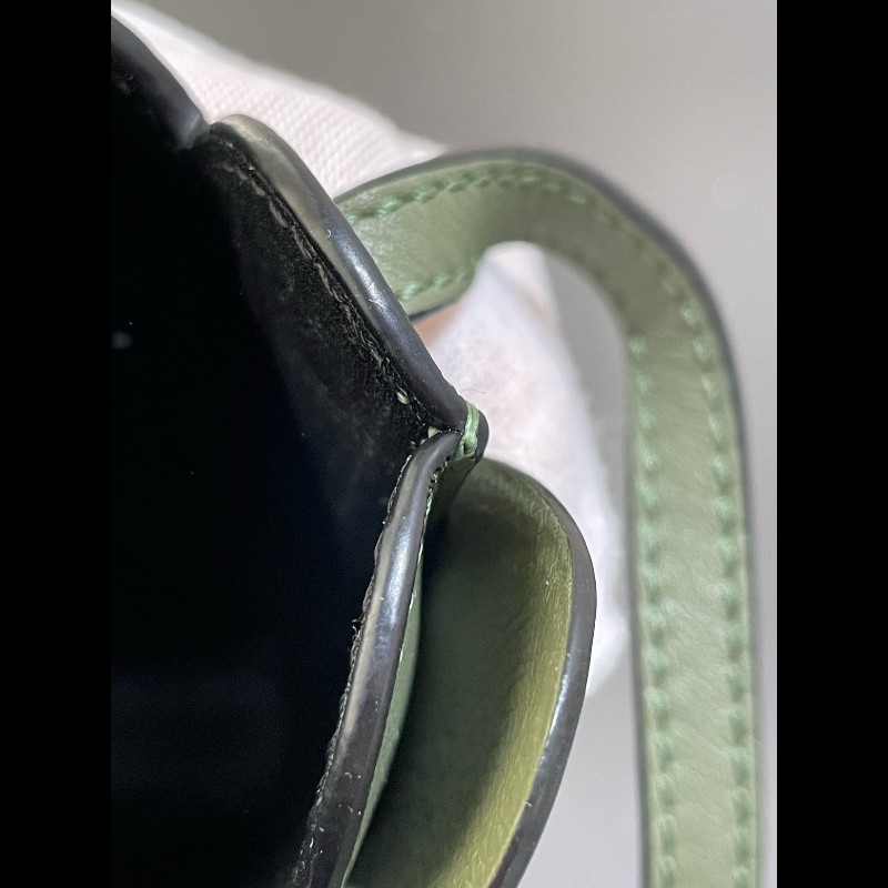 LOEWE 小象造型Anagram綠色 手機包 斜背包-16