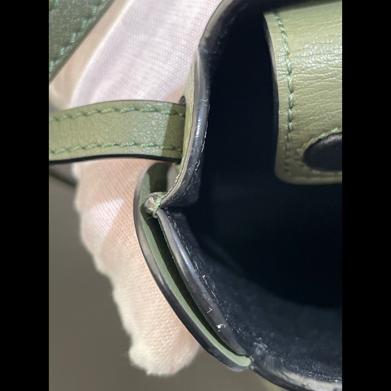 LOEWE 小象造型Anagram綠色 手機包 斜背包-17