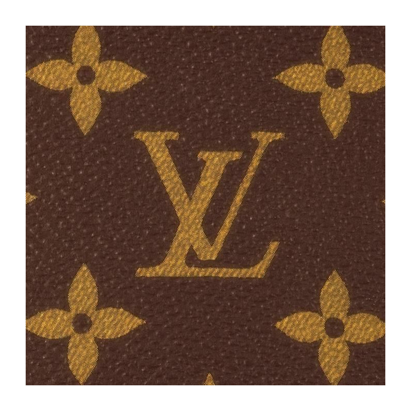 LOUIS VUITTON Vivasitte M46999 單肩斜背包-16