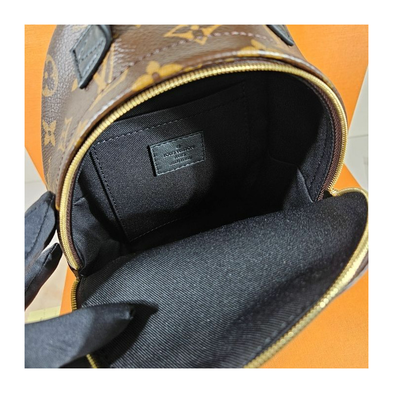 LOUIS VUITTON Palm Springs迷你背包 M44873-15