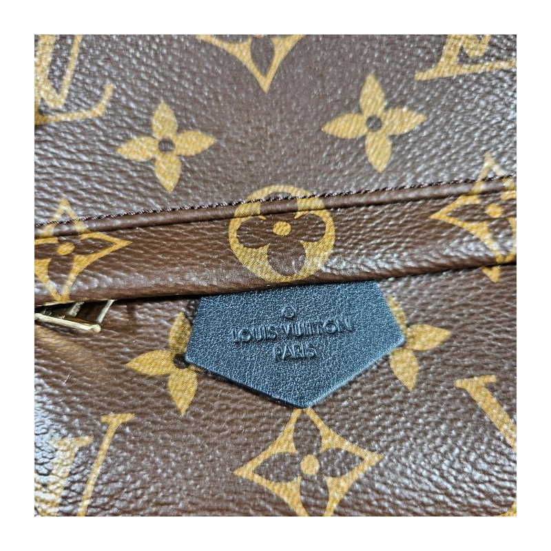 LOUIS VUITTON Palm Springs迷你背包 M44873-19