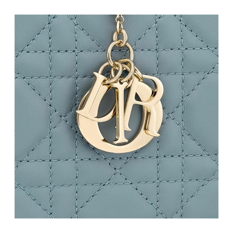 DIOR 女士真皮手拿包 S0204ONMJ_M-12