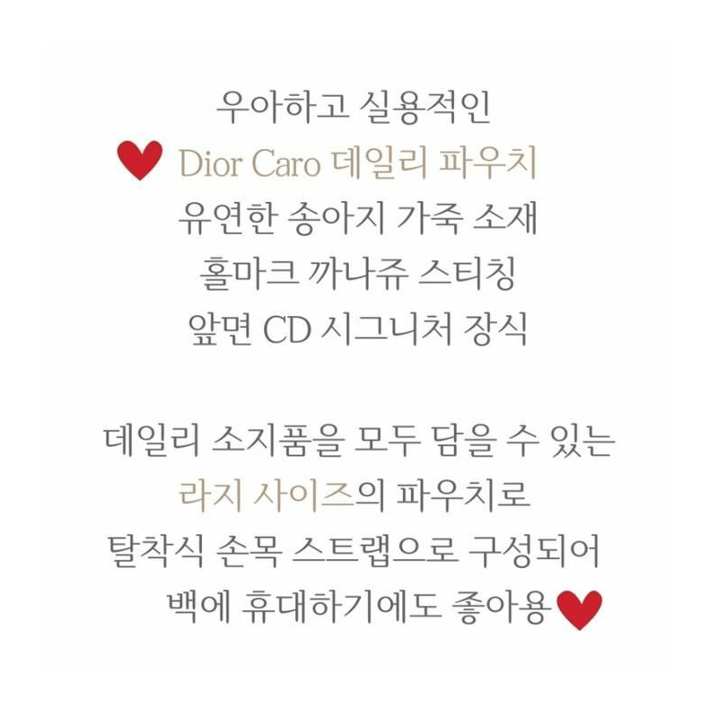 DIOR Cargo 大號日常收納袋 S5086UWHC-3