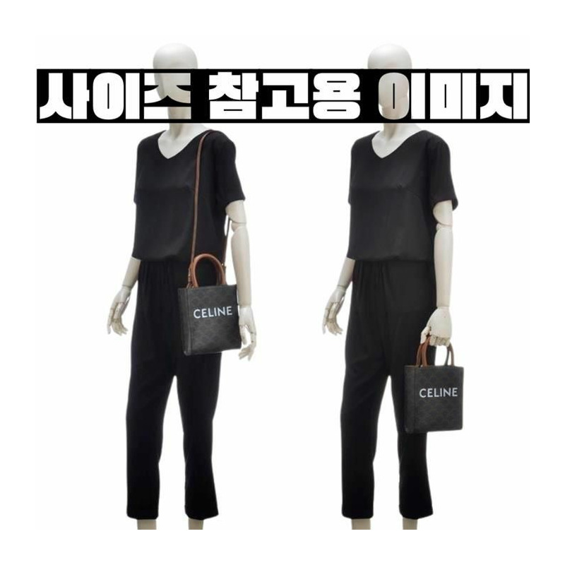 CELINE 迷你直款 Cabas 印花 Triumph 帆布畫 194372BZK04LU-9