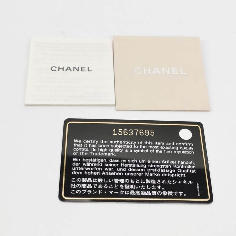Chanel Leboy季節限定款中號牛皮撞色方形雙C鎖扣單肩包-8