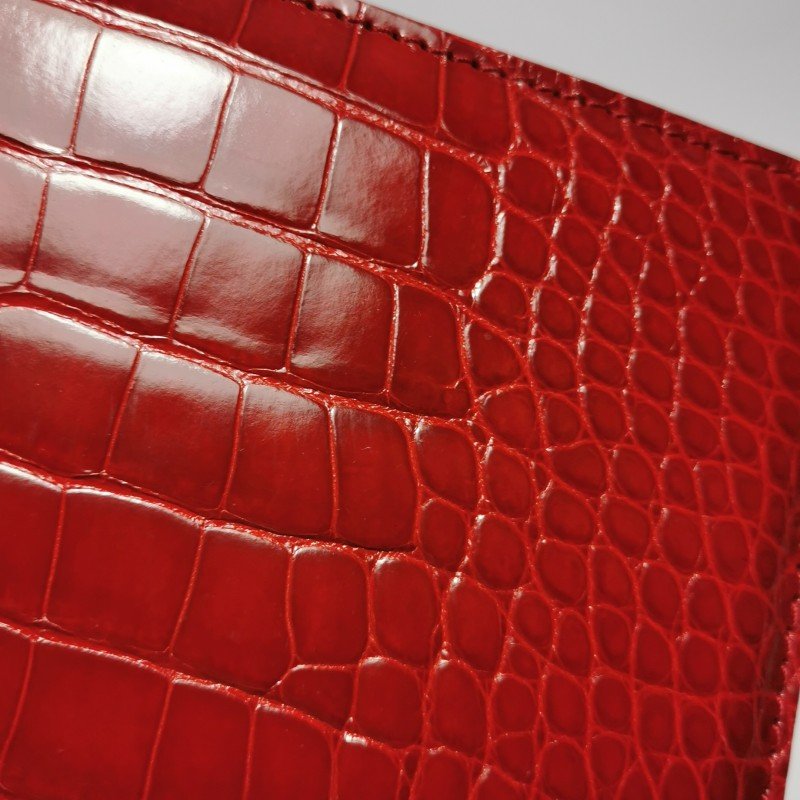 Louis Vuitton(LV)Deesse小號鱷魚皮純色手提包-14