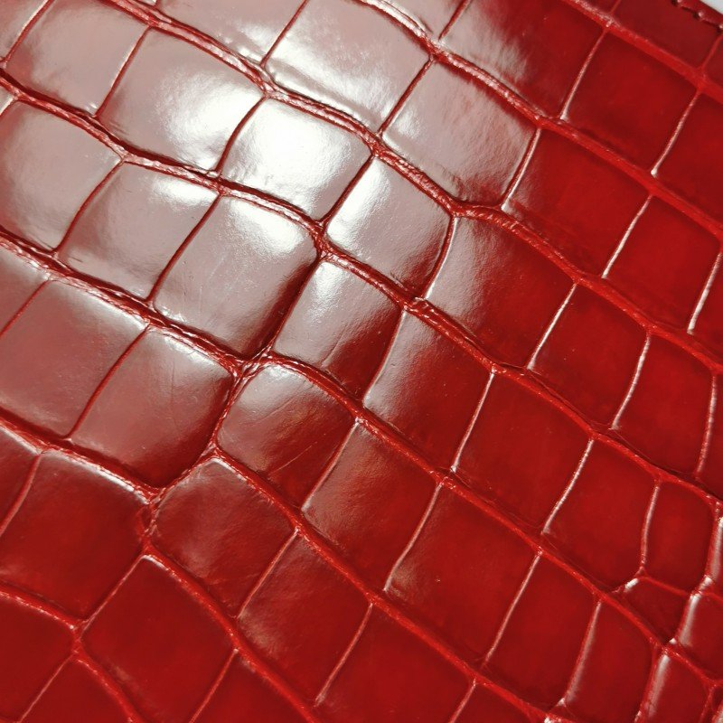 Louis Vuitton(LV)Deesse小號鱷魚皮純色手提包-20