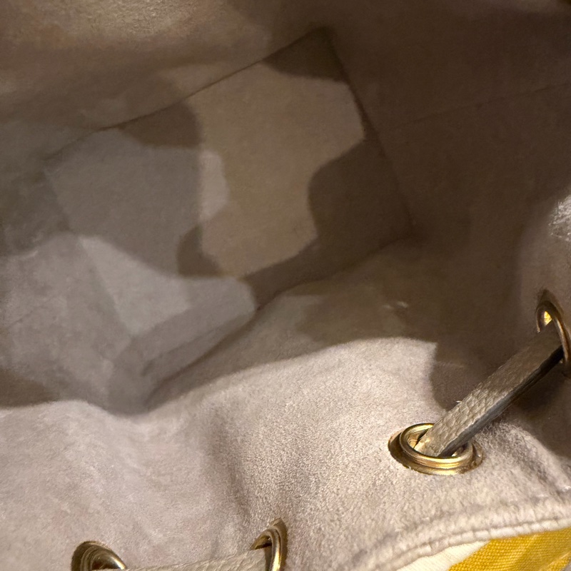 🎁LV nano noe 大象灰迷你水桶包 極極極新-11