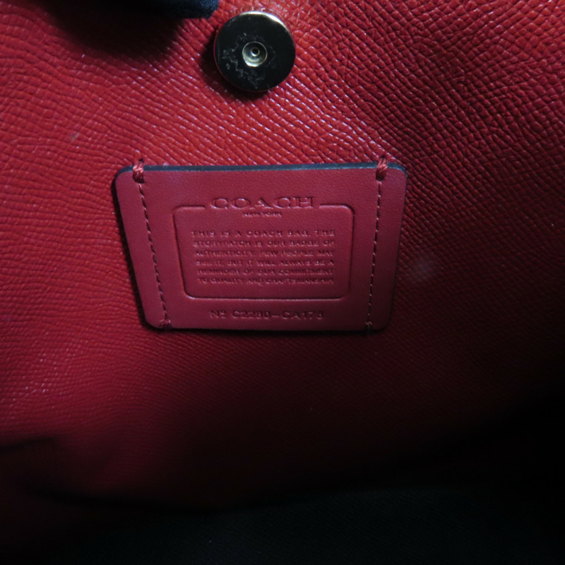 COACH 帆布Mollie 22金扣手挽肩背兩用袋-8