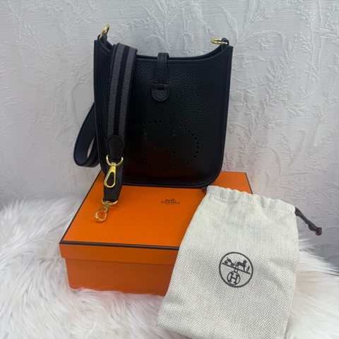 HERMES Mini Evelyn