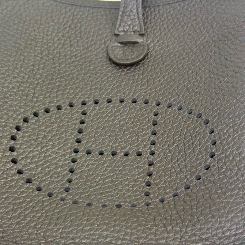 HERMES Mini Evelyn-11