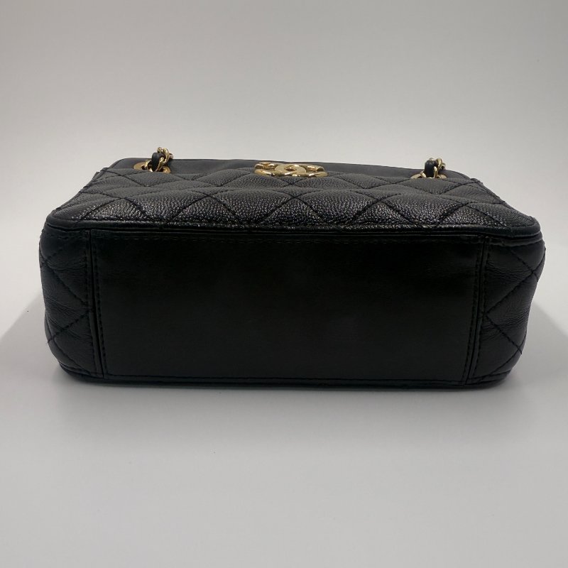 Chanel Leather handbag 28開 黑金相機包-10