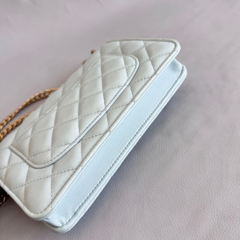 ✨全網最低價 !Chanel WOC 19cm 淡藍色 羊皮 山茶花金扣 鏈條包 芯片款-3