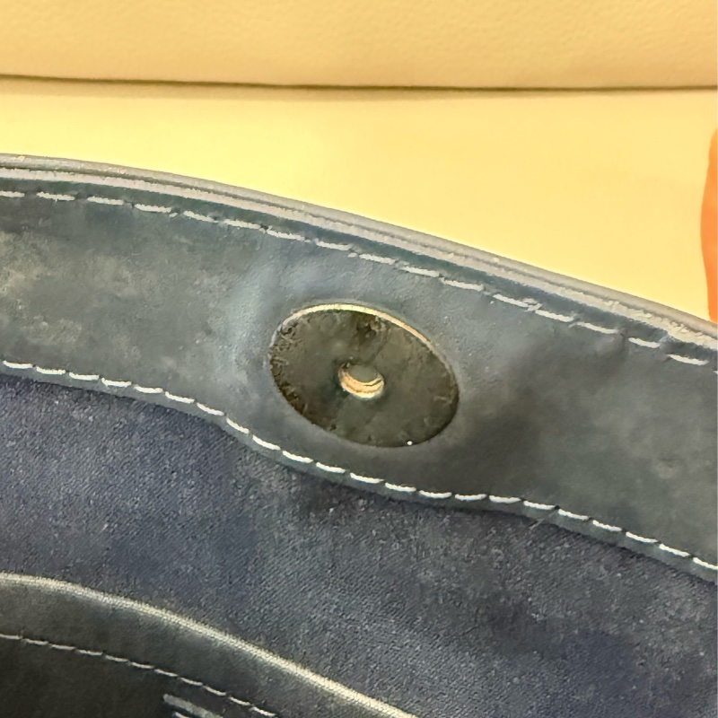 LV 藍色手提/肩背包-17