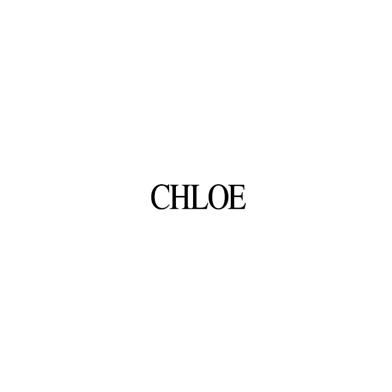 CHLOE Marci 小號肩背包 24FW (C22AS680 I31)-4
