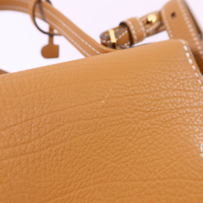 Delvaux 牛皮皮革Tempete PM金扣手挽肩背兩用袋-16