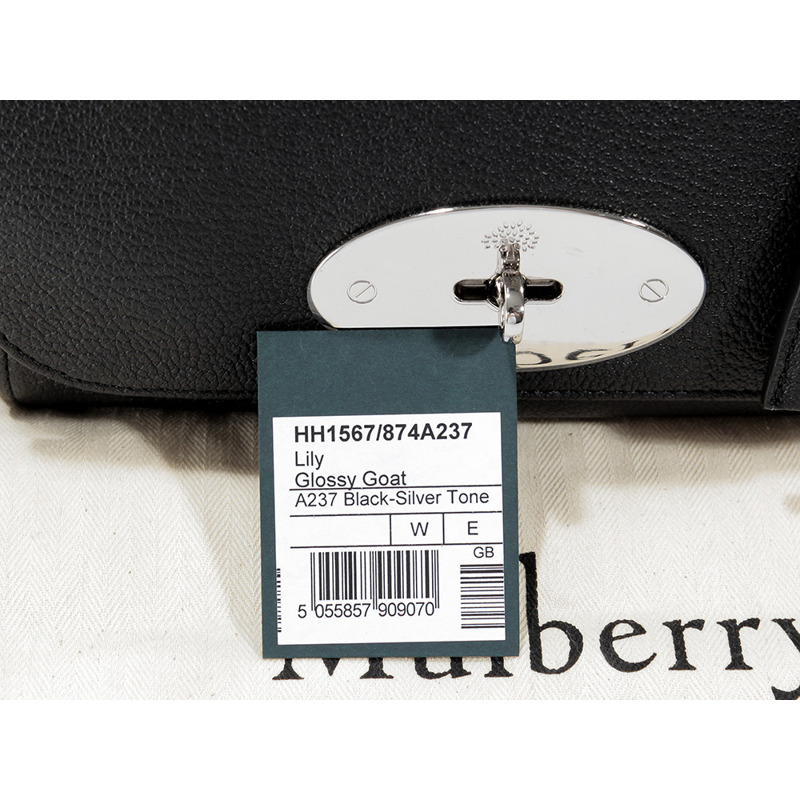 MULBERRY 24FW 女士 Lily 小號斜背包 (HH1567 874 )-19