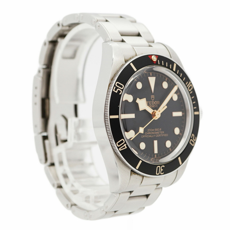 帝舵碧灣系列 79030N 錶盤男士腕錶-3