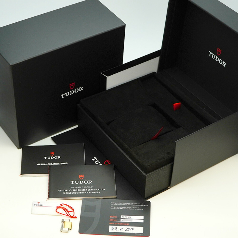 帝舵碧灣系列 79733N 錶盤男士腕錶-1