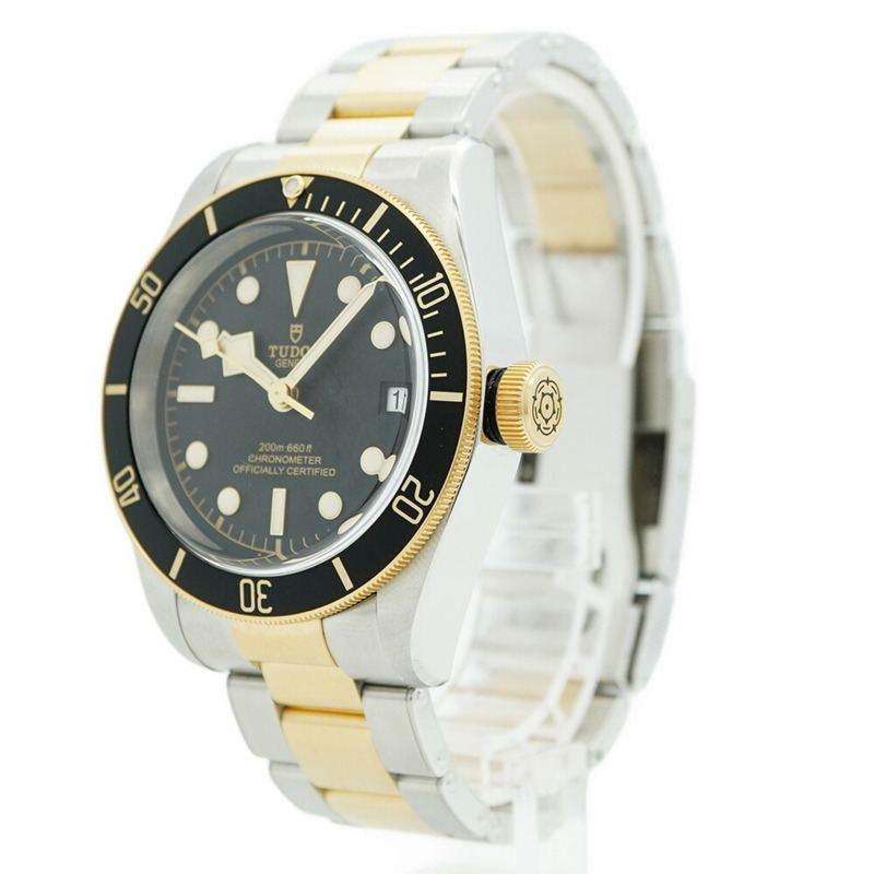 帝舵碧灣系列 79733N 錶盤男士腕錶-2