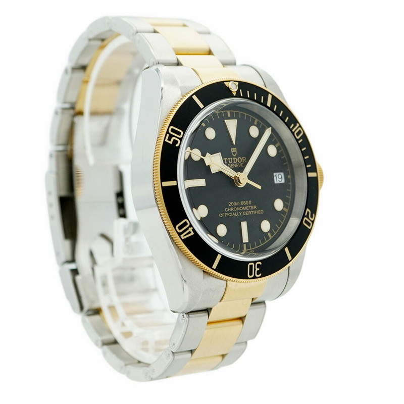 帝舵碧灣系列 79733N 錶盤男士腕錶-3