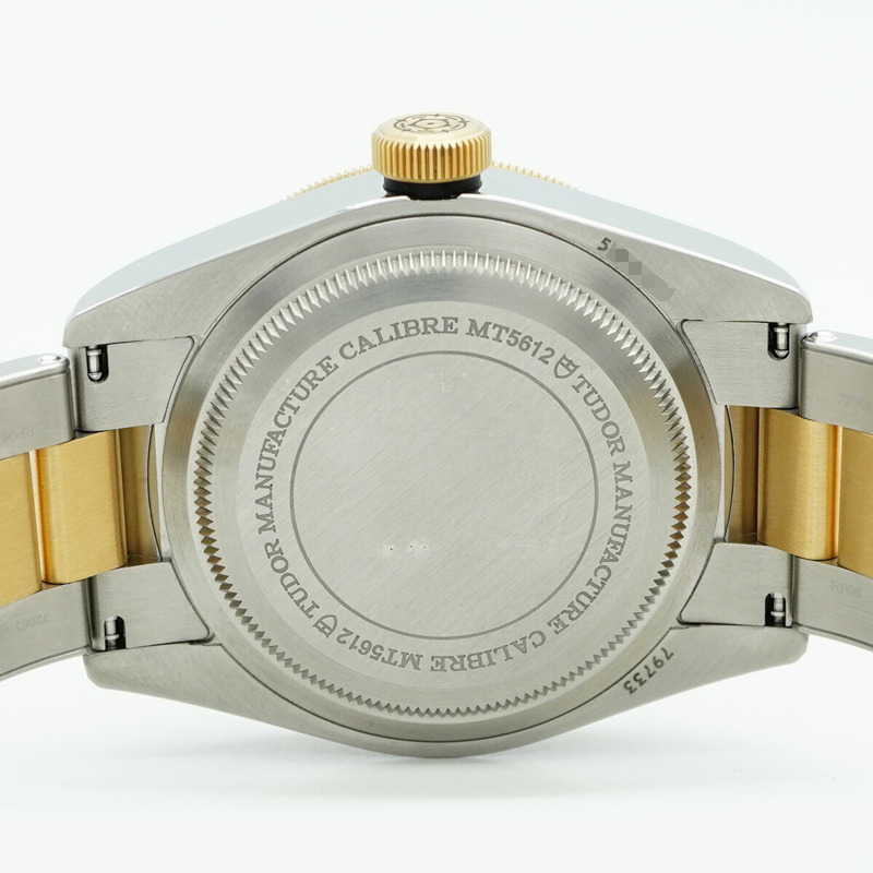 帝舵碧灣系列 79733N 錶盤男士腕錶-5