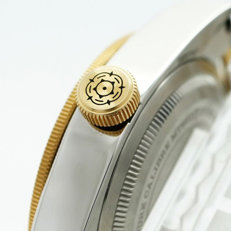 帝舵碧灣系列 79733N 錶盤男士腕錶-10